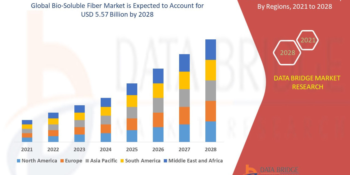 Bio-Soluble Fiber Market: Growth Opportunities and Forecast 2025 –2032
